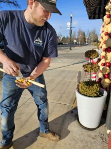 A man in work clothes measures a wooden pole with a tape measure on a sunny sidewalk near a decorated plant outside a building.