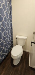 A white toilet is positioned next to a blue shower curtain with a white geometric pattern, on dark wood flooring beside a white vanity.