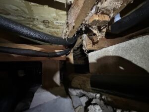 Close-up view of pipes and wooden beams in a dark crawl space, with insulation material and some debris visible.